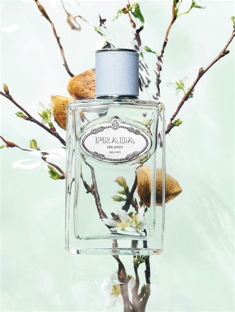 infusion d'amande de prada|Prada almond.